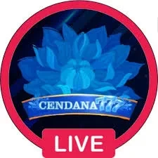 Aplikasi cendana777 Terpercaya untuk Android